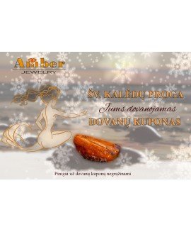 Special Amber gift certificate/Christmas